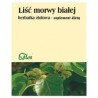 Flos Morwa Biała Liść 50G