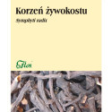 Flos Żywokost korzeń 50G