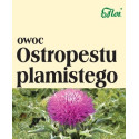 Flos Ostropest Owoc 100G