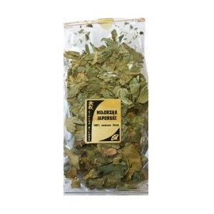 Astron Miłorząb Japoński 100% Liście  100G,