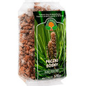 Natura Wita Sosna Pączek 100G