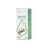 Vera Nord Eukaliptus Olejek 10 Ml