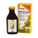 Zioło-Piast Floradix Odporność 250 Ml Płyn