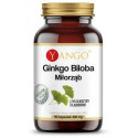 Yango Ginkgo Biloba 310 Mg 90 K Miłorząb japoński