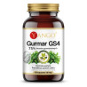 Yango Gurmar GS4 310 mg 60 k