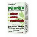 Sanbios Pilonyx 60 T