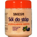 Bingospa Sól Do Stóp Grzybica 550 G