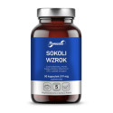 Panaseus Sokoli wzrok 50 k