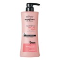 BIOPOINT Professional Hair Program Szampon wzmacniający kolor do włosow farbowanych 400 ml