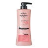 BIOPOINT Professional Hair Program Szampon wzmacniający kolor do włosow farbowanych 400 ml