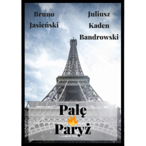 Palę Paryż [E-Book] [mobi]