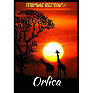 Orlica [E-Book] [pdf]