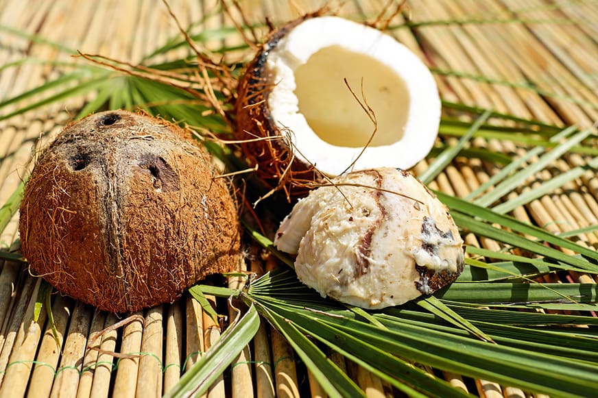 Jak zrobić mleko kokosowe ze świeżego kokosa?